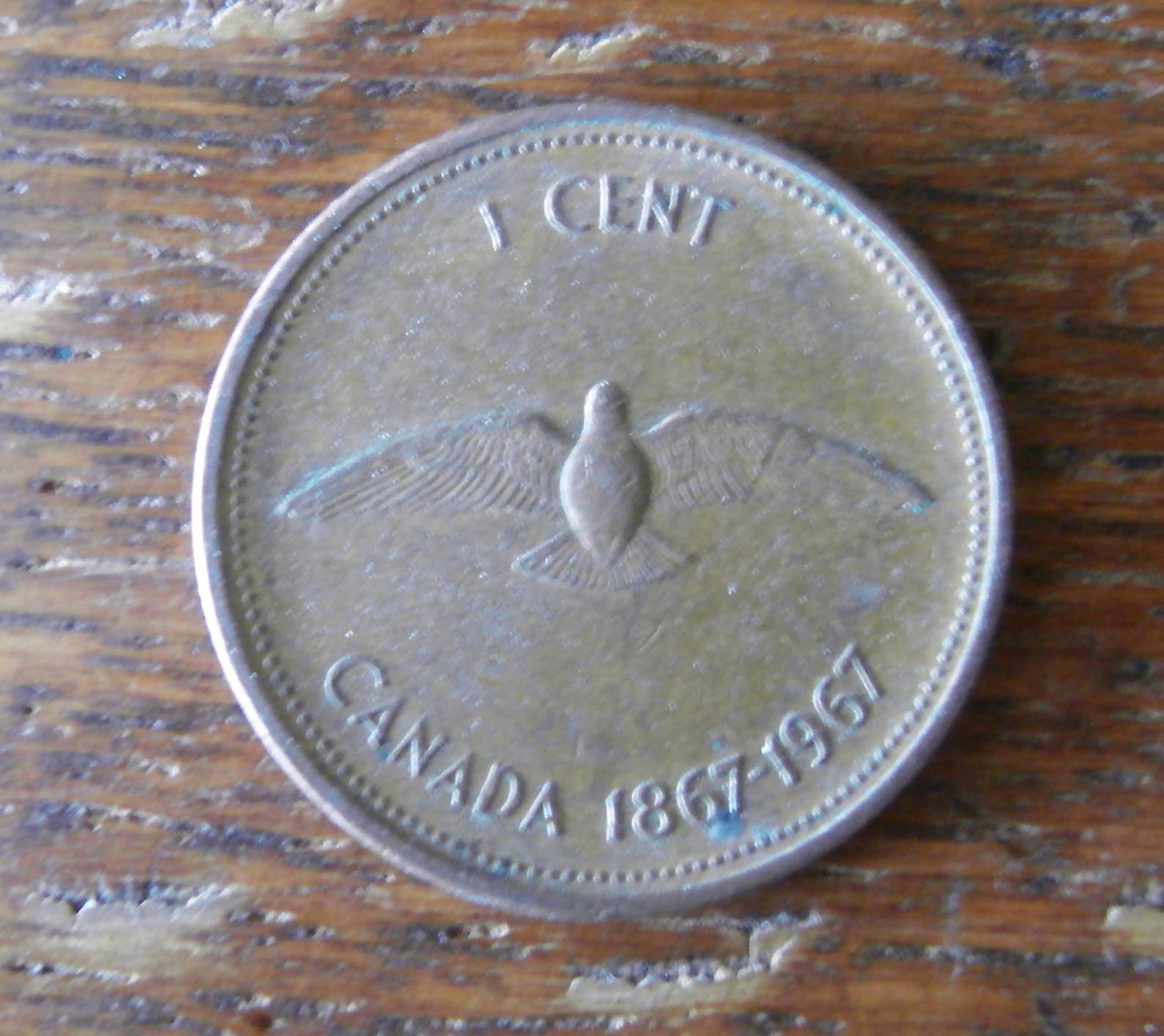 Canadian Bird Penny 1067