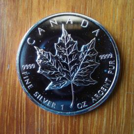 Canadian Silver Maple Leaf