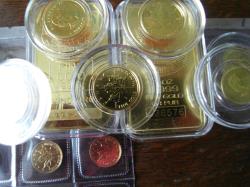 Gold Maple Leaf Coins